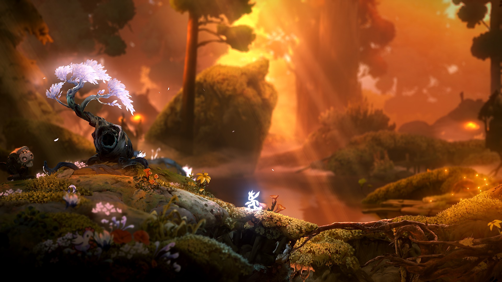 Satu Pohon Seribu Titik Air